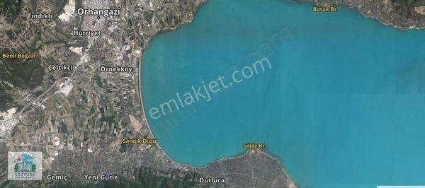 Orhangazi Yenigürle Köyü - Köye Çok Yakın Zeytinlik