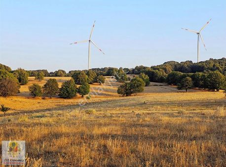 9.766 M2, Resmi Yola Cepheli, Manzaralı, Köye Yakın Arazi