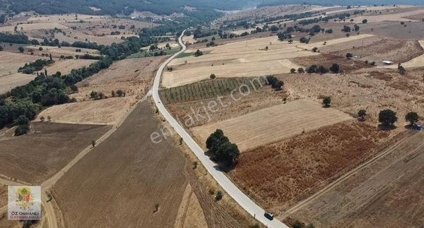 Asfalta Cepheli,5.233 M2, % 5 İmarlı, Söğüt'e 8 Km, Fırsat Arazi