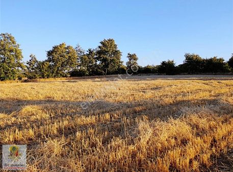 Bozüyük Merkeze 9 Km,köye 1.5km, Mesafede, Satılık Hobi Bahçesi