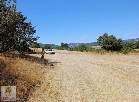 Sanayi'nin Kalbi Bözüyük Merkeze 7.5 Km Mesafede,%5 İmarlı Arazi