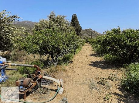 Plaja 700 Metre Ve % 5 İmar Açıklamayı Okuyun