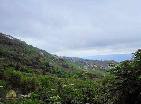 Trabzon Akolukta Doğa Manzaralı Fırsat Arsa