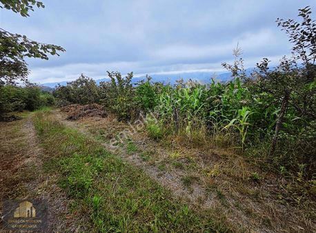 Trabzon Akolukta Doğa Manzaralı Arsa