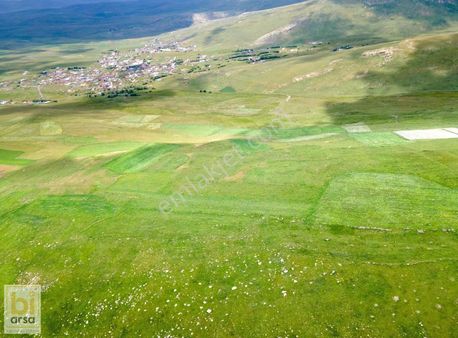 Ardahan Merkez'de 5.235 M² Yatırım Fırsatı