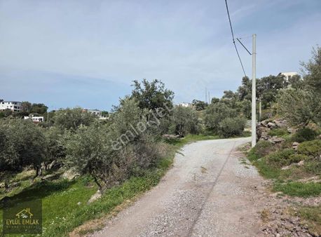 Bodrum Gökpınar Mahallesinde 478m2 Satılık Arsa