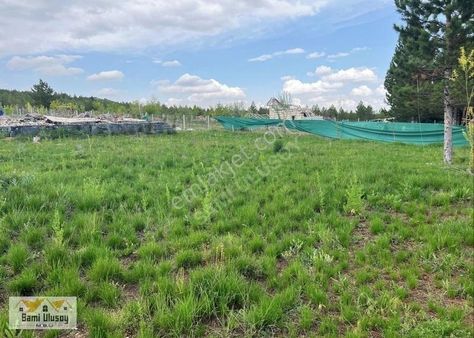 Doğa Harikası Orman Manzaralı Mülk