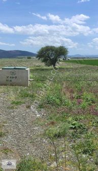 Burdur Tefenni Beyköy'de 4.661 Metrekare Tarla Satılık