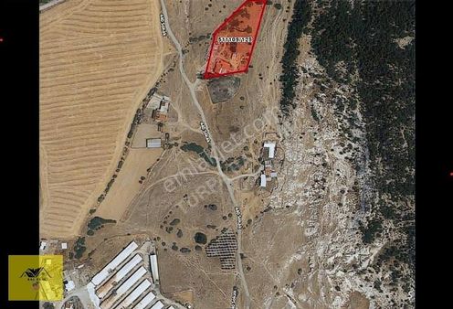 Foça Kocamehmetler İki Numaratajlı Tarla