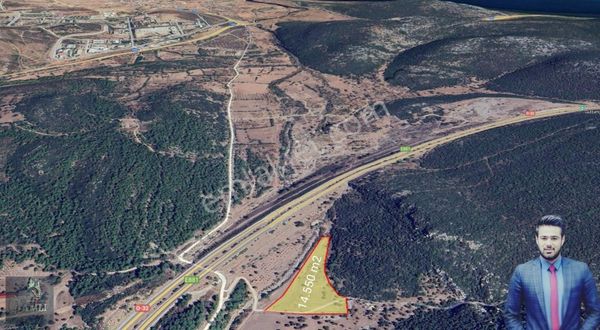 Urla Zeytinlerde Satılık Parseller