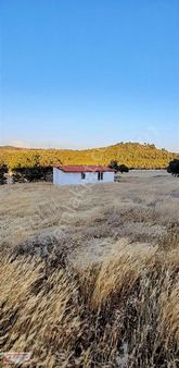 Manisa Pelitalan Kocaköyde 35 Dönüm Çiftlik Yapımına Uygun Arazi