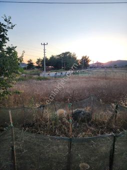 Antalya Gazipaşa Beyobası Mahallesınde Satılık Müstakil Tarla