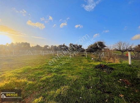 Buca Karacağaç'da Su Dibi Elek.su Mevcut 250 M2 Parsel