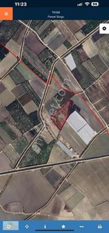 Kolezyum Dan Silifke Burunucu Satılık Limon Bahçesi