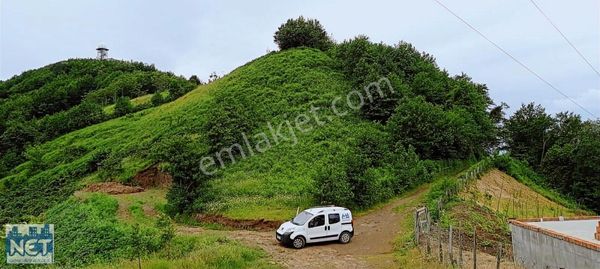 Net Profesyonel Emlak'tan Mersin Kalecikte Satılık Arazi