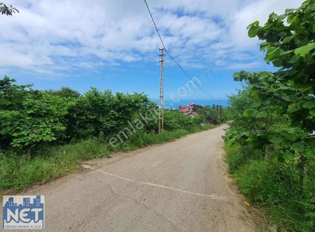 Satılık Vıllalık Arsa