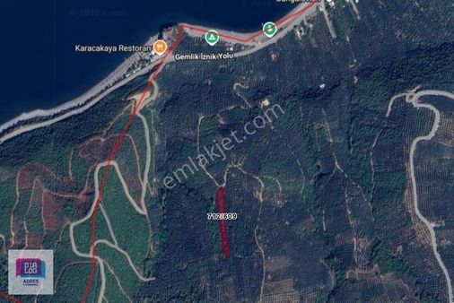 Dialog Adres'ten Bursa İznik Aydınlar'da Satılık Arsa