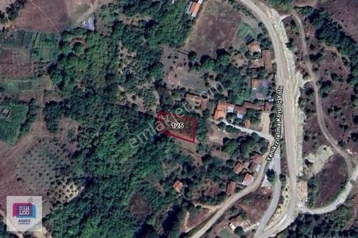 Dialog Adres'ten Bursa Mustafakemalpaşa Yenikızılelma'da Arsa