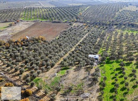Mega Emlaktan Kurtuluş Mahallesinde Satılık Fırsat Tarla