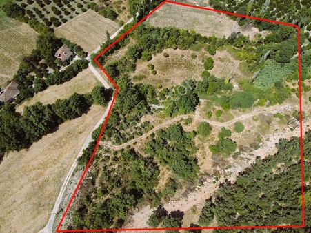 Eray Emlaktan Köyceğiz Yangıda 15.700m2 Tek Tapu Satılık Tarla