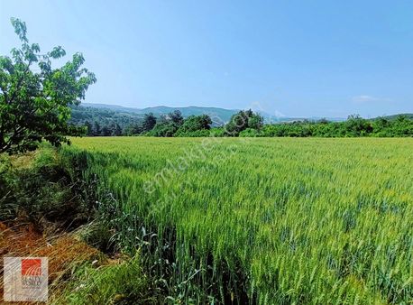 Çanakkale Lapseki İlyasköyde Satılık Yatırımlık 10 Dönüm Tarla