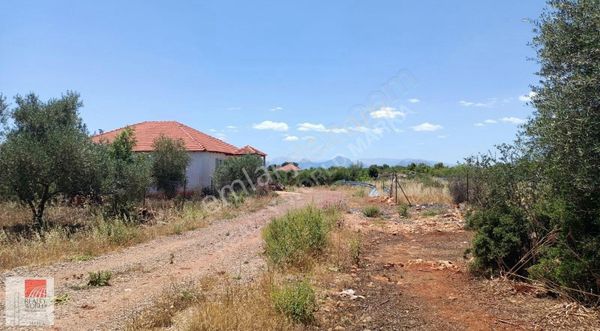 Antalya Kepez Kızıllı Satılık Tapulu Tarla Yerleşime Yakın