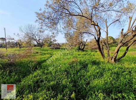 Çanakkale Lapseki Umurbeyde Köy İçinde Satılık 1 Dönüm Arazi