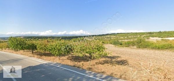 Keles Kıranışıklarda 4157 M2 Asfalt Anayola Cephe Satılık Tarla