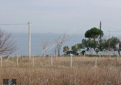 Mürefte Mh Nutuk Sitesinde 415 M2 Deniz Manzaralı Arsa