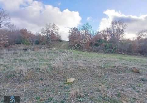 Palamut Mh Acil Satılık 3550m2 Tarla Tek Tapu