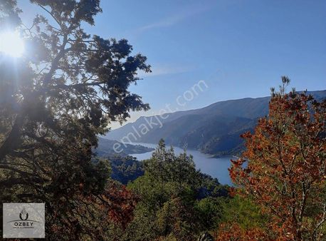 Fırsat Arazi!! Sakarya Nehri Yakını Emsallerine Göre Uygun Fiyat