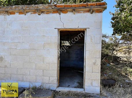 Urla Zeytineli Sahile 250 Metre Satılık Tarla