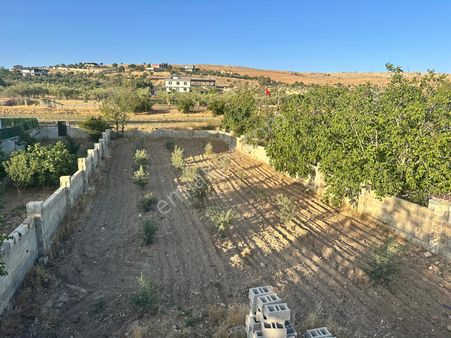 Mesken Emlakdan Gülpınarda Asfalt Üstü Elektrik Aboneli Kuyulu