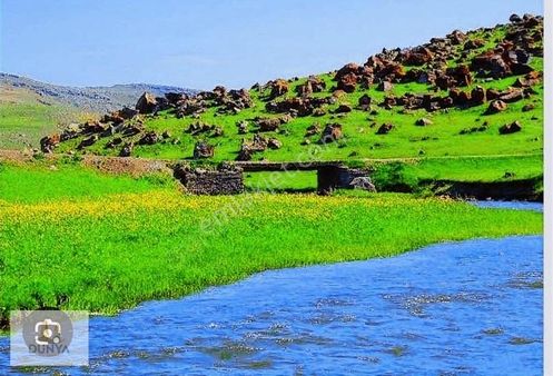 Iğdır Tuzluca Hamurkesen Köyünde Satılık Arsalar