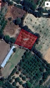 Kayalargroup'tan 808 M2 Kuzköy'de Satılık Bahçe