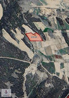 Yatırımlüx'den 12.437 M2 Tarla