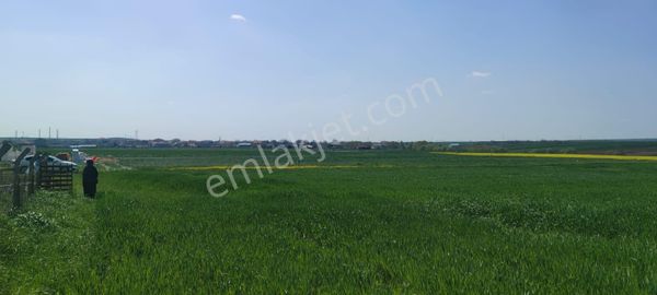 Tekirdağ Ergene Misinli 197 Ada 8 Parsel Arsamız Satılıktır.