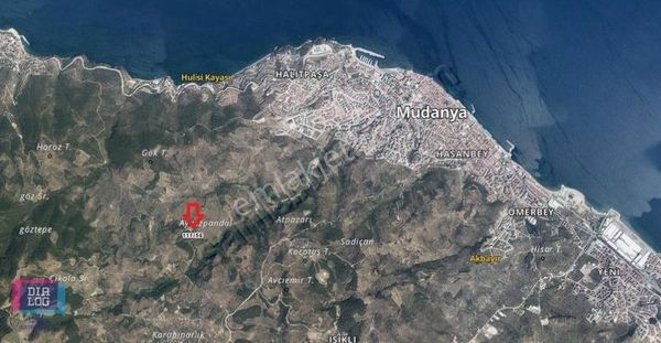 Dıalog İdeal Den Kumyaka Da Deniz Manzaralı Satılık Zeytinlik