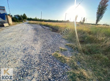 Koz Emlak'dan Yazıhan Tecirli'de 44.999m2 Sulu Tarla