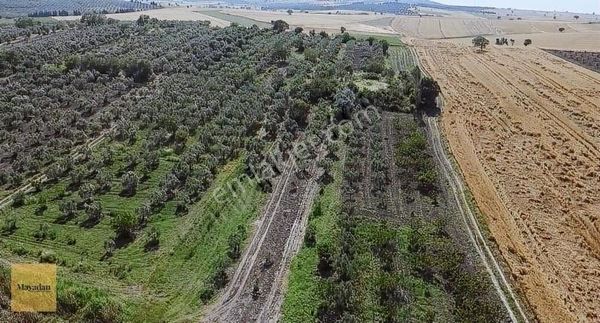 Mayadan Gyo'dan Gönen Büyüksoğuklar'da 700m2 Satılık Bağ