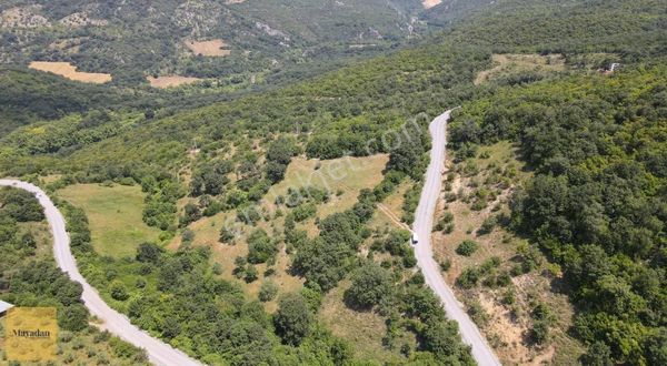 Gönen Yörükkeçidere 4750 M2 Ana Asfalta Cephe Tarla