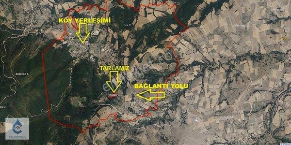 Yalova Altınova Aktoprak Köyünde Satılık 7.804 M² Tarla