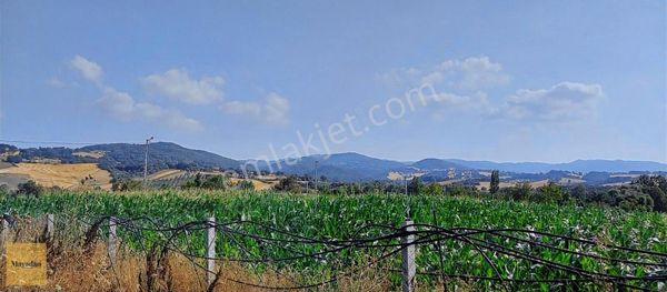 Mayadan Gyo Dan Tütüncü Mah.5 753 M2 Satılık İmara Yakın Tarla