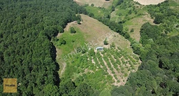 Mayadan Gyo'den Gönen Sebepli Köyünde 23100 M2 Satılık Tarla