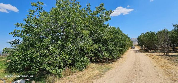 Girişimci'den Korkuteli Yeşilyayla Köy İçine Yakın Konumda Bahçe
