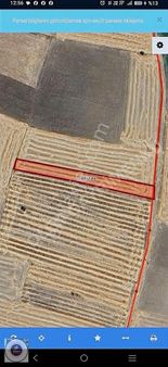 Kütahya Merkez Kızılcaya Köyünde Satılık Tarla