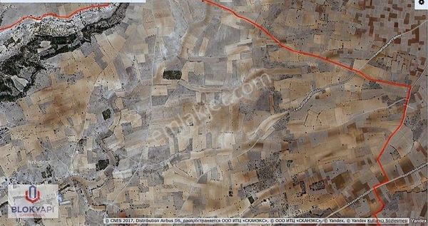 Blokyapı Gayrimenkul'den Bekilli'de 8000 M2 Satılık Tarla(üzüm)