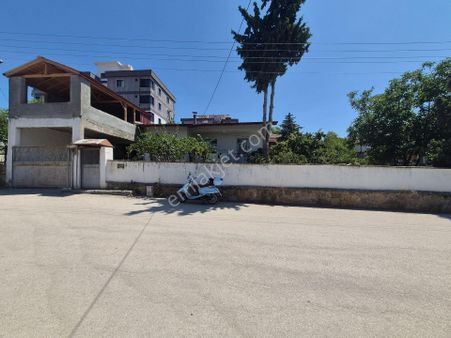 Erkan Anbar Dan Satılık Bahçeli Müstakil Ev Suluova Şeker Mahallesi