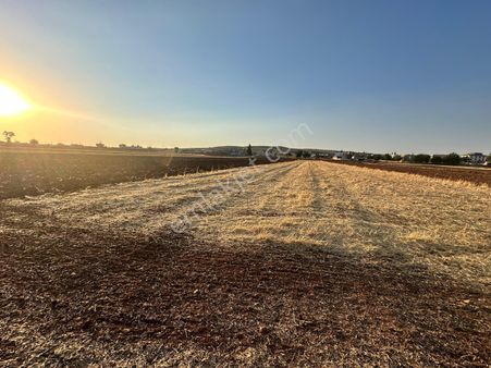 Mesken Emlakdan Sarıt Mh Bağevlik Resmi Yol Üzeri Fırsat Arazi