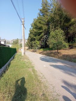 Degirmenyaninda 700 M2 Müstakil Tapulu Tarla